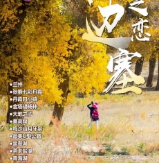 mݼPĪ߿߲迨}ຣ߅֮١֡8